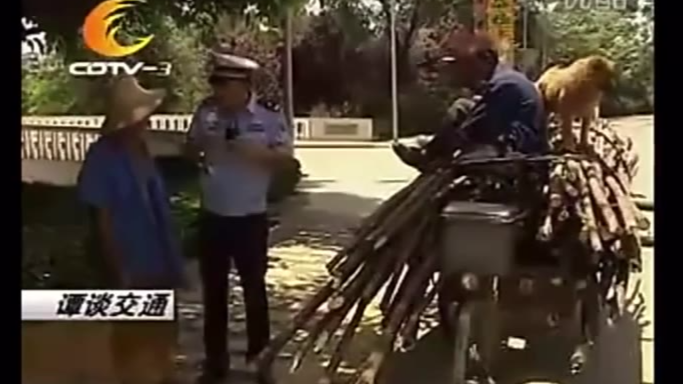 【谭谈交通】老人,弟弟和狗,我看的最感人的一期了!